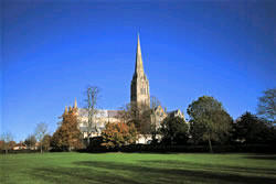 Salisbury Cathedral from the meadows
